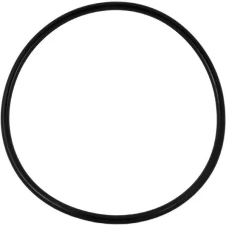 Уплотнительное резиновое кольцо для корпусов серии Аквабрайт ВВ, Р-ББ