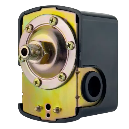 Реле давления MAXPUMP PS-02 (п) Реле давления MAXPUMP PS-02 (п)