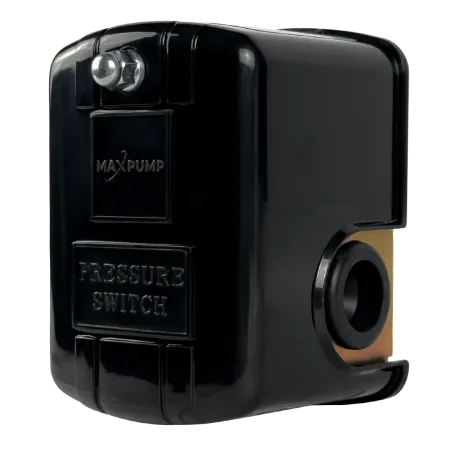 Реле давления MAXPUMP PS-02 (м) Реле давления MAXPUMP PS-02 (м)