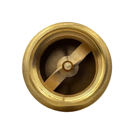 Обратный клапан MAXPUMP 1¼" Обратный клапан MAXPUMP 1¼"