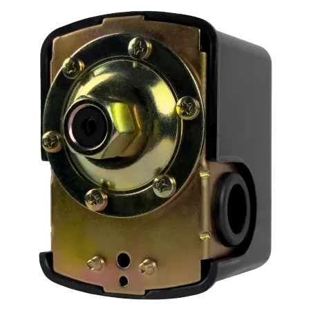 Реле давления MAXPUMP PS-02 (м) Реле давления MAXPUMP PS-02 (м)
