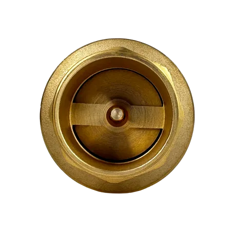 Обратный клапан MAXPUMP 1¼" Обратный клапан MAXPUMP 1¼"