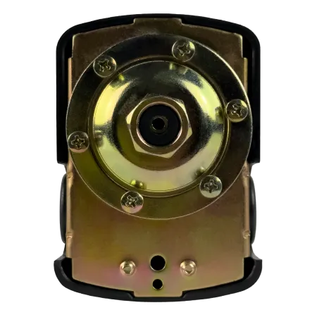 Реле давления MAXPUMP PS-02 (м) Реле давления MAXPUMP PS-02 (м)
