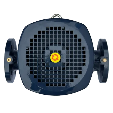 Циркуляционный насос MAXPUMP IL 50-310/22