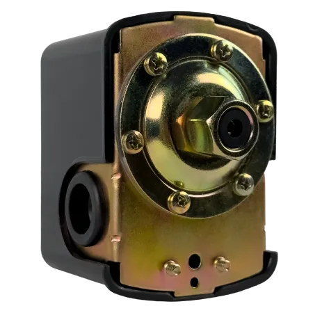 Реле давления MAXPUMP PS-02 (м) Реле давления MAXPUMP PS-02 (м)