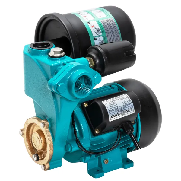 Насос IBO WZCH 250 2л,