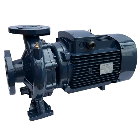 Циркуляционный насос MAXPUMP F 40-200/55