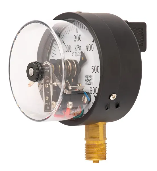 Манометр электроконтактный ФизТех ДМ2010ф 0-600 кПа кл.т.1,5