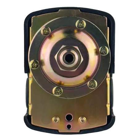 Реле давления MAXPUMP PS-02 (п) Реле давления MAXPUMP PS-02 (п)