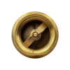 Обратный клапан MAXPUMP 1"