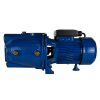 Поверхностный насос MAXPUMP JSW 900