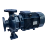 Циркуляционный насос MAXPUMP F 50-250/220
