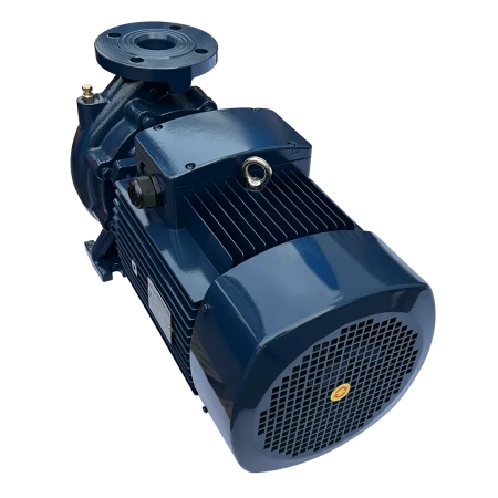 Циркуляционный насос MAXPUMP F 50-250/220