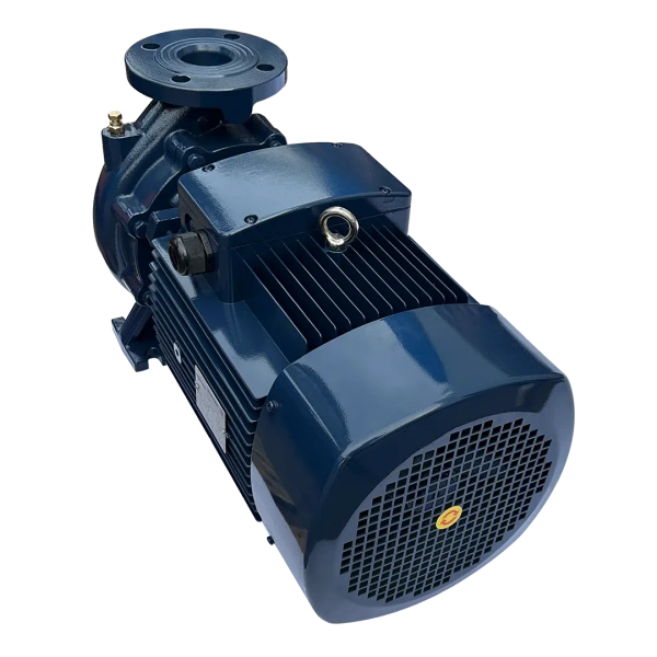 Насос MAXPUMP F 50-250/220