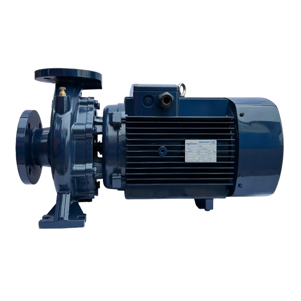 Насос MAXPUMP F 50-250/220